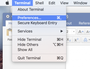 Terminal Preferences